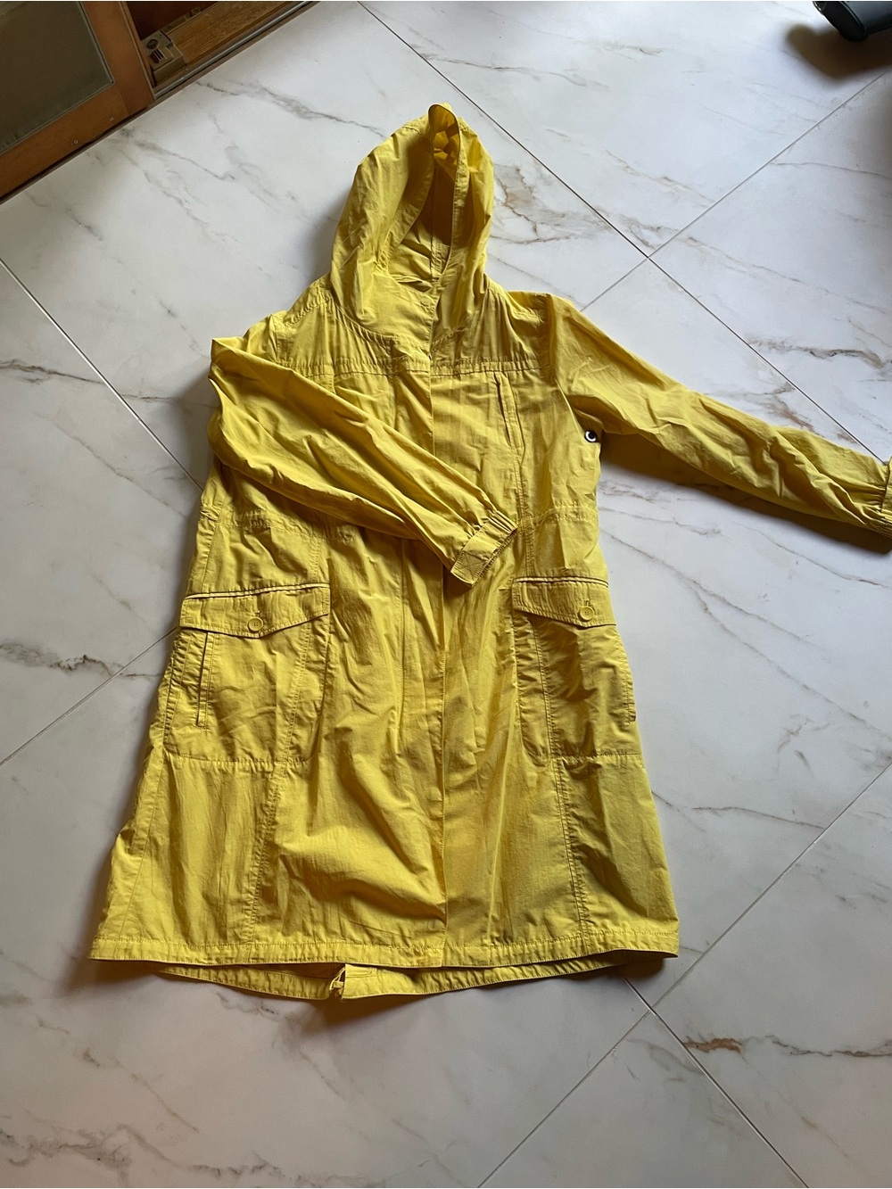 Eileen Fisher raincoat